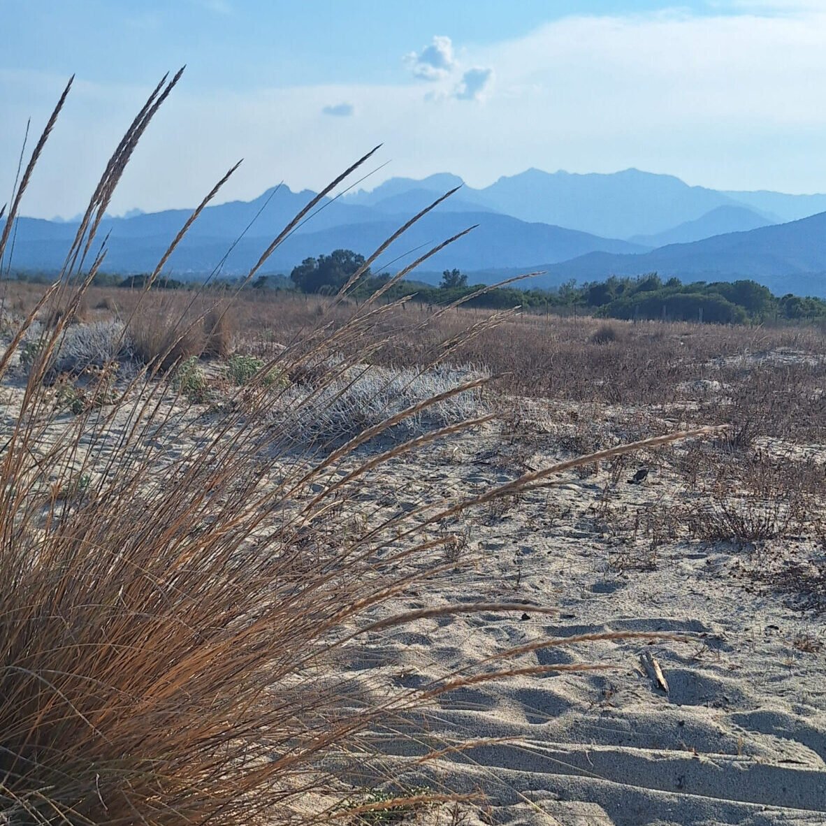 Plage de Corse sud – Offre Silver Key'Sula conciergerie Porto-Vecchio